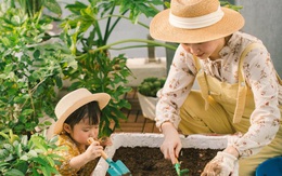 Ước mơ một khu vườn xanh tốt, bà mẹ trẻ sốc nặng vì “trồng rau khó như làm thơ”, cuối cùng thì cũng thu được trái ngọt sau bao “đau thương”