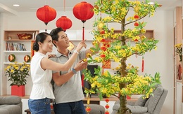 Điều tối kỵ khi đặt cây cảnh trong nhà, năm mới đừng phạm phải!