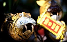 Hổ vằn ôm gốc dừa, bonsai độc giá 3 triệu đồng chơi Tết