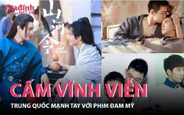 Vì sao Trung Quốc chính thức cấm phim đam mỹ? 