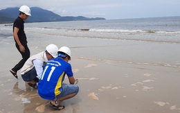 Thừa Thiên Huế: Nước tại vùng biển ở huyện Phú Lộc đổi màu 'lạ' sau bão Noru
