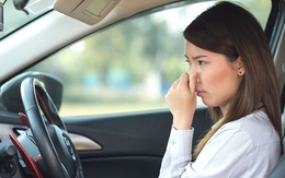 Những loại mùi cực khó chịu trên xe ô tô, tiềm ẩn nhiều nguy cơ mà chị em thường bỏ qua