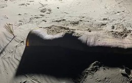 Đi nhặt ve chai, tá hỏa phát hiện thi thể không còn nguyên vẹn