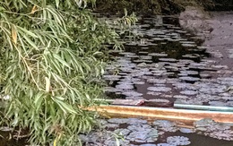 Chèo thuyền đi hái bông súng, nam thanh niên tử vong