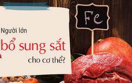 6 thực phẩm phổ biến rất giàu sắt, ngừa thiếu máu