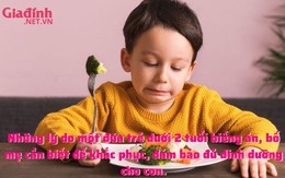 Trẻ biếng ăn, bố mẹ cần biết rõ nguyên nhân để khắc phục giúp con