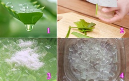 Dùng nha đam chữa bệnh và làm đẹp nhất định phải biết điều này để không gây hại sức khỏe