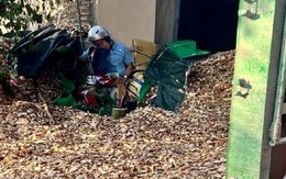 Phát hiện thi thể người đàn ông bị vùi lấp trong đống dăm gỗ