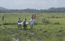 Phát hiện thi thể người đàn ông lõa thể giữa đồng ruộng