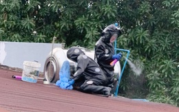 Bắt tổ ong vò vẽ cao 1 m trong trường đại học ở TP.HCM