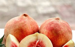 Loại trái cây quả nặng tới nửa kg một quả “đắt như tôm tươi” dù giá chát