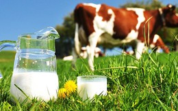 Bộ sản phẩm dinh dưỡng sữa Lactomil kết hợp với tinh chất tổ yến cao cấp từ Nhật Bản 