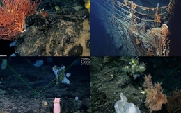 Sự thật choáng váng về hàng ngàn hồn ma cạnh xác tàu Titanic