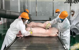 Giá lợn hơi đi xuống, rời xa mốc 60.000 đồng/kg, tiêu thụ vẫn chậm