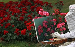 5 thói quen nhỏ nhặt giúp bạn hạnh phúc hơn mỗi ngày