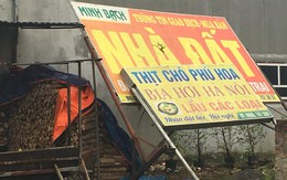 Mải mê ôm đất mong ăn quả đậm, 'môi giới nông dân' lỗ nặng