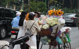 Chị em Hà thành tíu tít với cúc họa mi đầu mùa