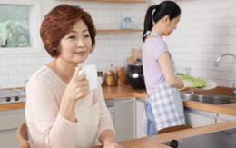 Chồng tôi gặp khó khăn, mẹ chồng muốn giúp nhưng tôi không đồng ý