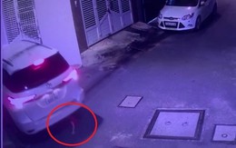 Đứng sau ô tô đang lùi, cháu bé bị cuốn vào gầm