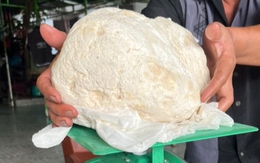 Ngư dân vớt được vật lạ nghi là long diên hương quý hiếm