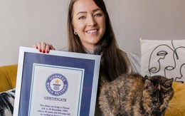Mèo 27 tuổi được công nhận kỷ lục 'mèo già nhất thế giới'