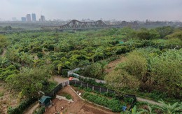 Hà Nội: Quận Hoàn Kiếm kiến nghị làm công viên ở bãi giữa sông Hồng