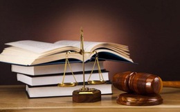 Những chính sách quan trọng có hiệu lực từ tháng 12/2022