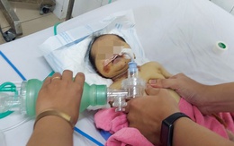 Bé gái sơ sinh bị bỏ rơi giữa rừng