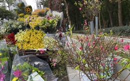 Đào Nhật Tân phục vụ khách chơi Tết sớm