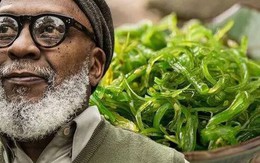 Chế độ ăn kích hoạt gen sống thọ, trong đó sử dụng khoai lang làm nguồn calo chính