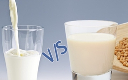 Sữa đậu nành hay sữa bò bổ dưỡng hơn? Câu trả lời khiến nhiều người phải chọn lại