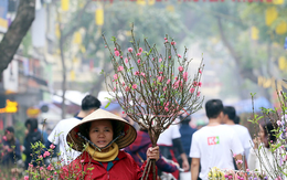 Hà Nội sẽ tổ chức 91 điểm chợ hoa phục vụ Tết Nguyên đán Quý Mão 2023