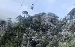 Rét đậm, gió mạnh và sóng lớn trên biển gây thiệt hại tại nhiều địa phương