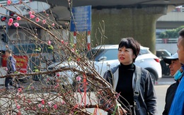 Đào Nhật Tân xuống phố thu hút người chơi sớm