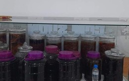 TP.HCM đề xuất phải có điều kiện bắt buộc việc mua rượu, bia với trẻ vị thành niên