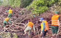 Tìm thấy thi thể cán bộ viện khoa học thủy lợi rơi xuống biển