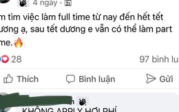 Kiếm tiền tiêu Tết, sinh viên tránh sập bẫy làm thêm