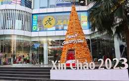 Đón Giáng sinh với những cây thông Noel "độc, lạ" nhất Việt Nam