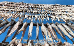 Đặc sản Tết miền Tây tới tấp  lên kệ hàng khắp cả nước