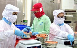 Lao động bị mất việc làm sẽ được hỗ trợ thế nào?