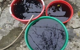 Thanh Hóa: Nước sinh hoạt ô nhiễm gấp 80.000 lần tiêu chuẩn, người dân bân bất an