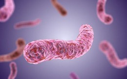 Căn bệnh được ví như 'kẻ giết người thầm lặng’ gia tăng ở trẻ em