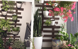 Cặp vợ chồng trẻ Hà Nội tự decor cho ban công diện tích 2,2m² ngập sắc xanh của cây cối chỉ với 1,8 triệu đồng