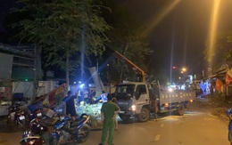 TP.HCM: Đang đi xe máy, hai mẹ con bị cây xanh bật gốc ngã đè trúng