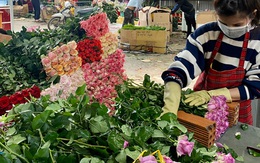 Choáng với giá hoa hồng Đà Lạt cận ngày Valetine