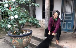 Cụ bà hạnh phúc nhất Việt Nam: 108 tuổi, có 114 cháu, chắt