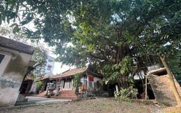 Cụ bà gần trăm tuổi ở Hà Nội xin hiến chùa cho làng