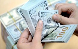 Hai người đàn ông ‘ngã ngửa’ vì màn lừa của nữ chủ tịch HĐQT