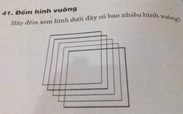 Bài toán Tiểu học đếm số hình vuông tưởng dễ, nhưng 99% trả lời 5 hình đều sai bét