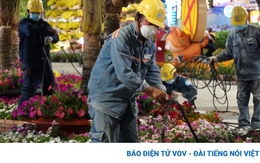 500 người thu dọn Đường hoa Nguyễn Huệ trong đêm